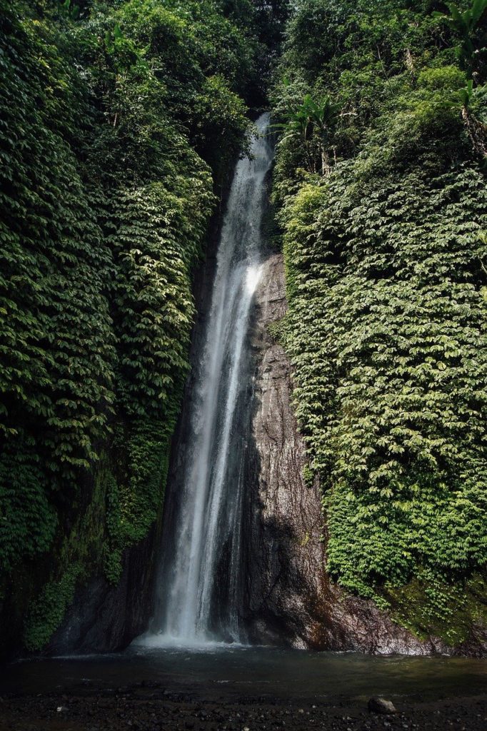 waterfall, nature, forest